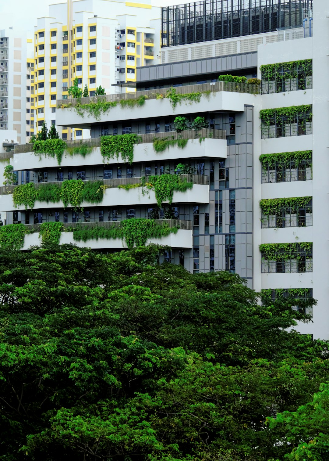 Sustainable Design Case Study